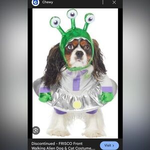 Green and Silver Alien Dog Costume
